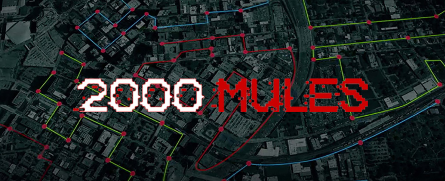 MyPatriotsNetwork-[WATCH] 2000 Mules: Coming To A Theater Near You!