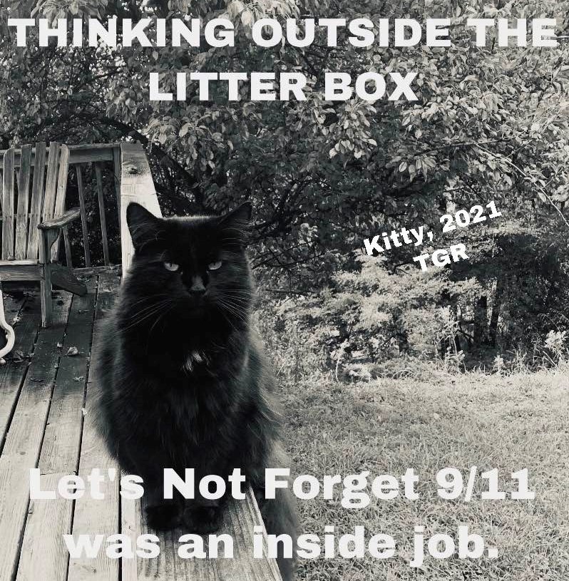MyPatriotsNetwork-Thinking Outside The Litter Box: Let’s Not Forget 9/11 Was an Inside Job -Kitty