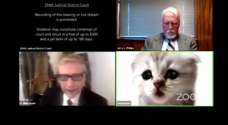 MyPatriotsNetwork-Texas Lawyer Uses Cat Filter On Zoom Call & Can't Fix It!