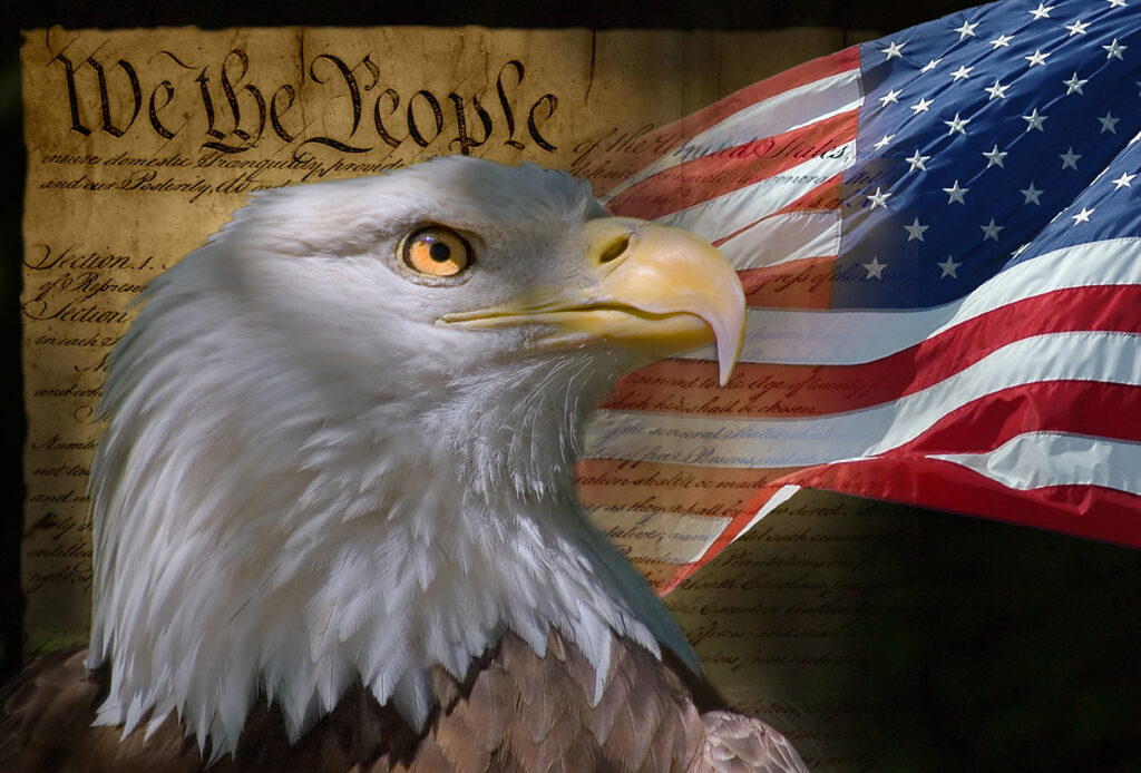 mypatriotsnetwork-United States of America Constitution