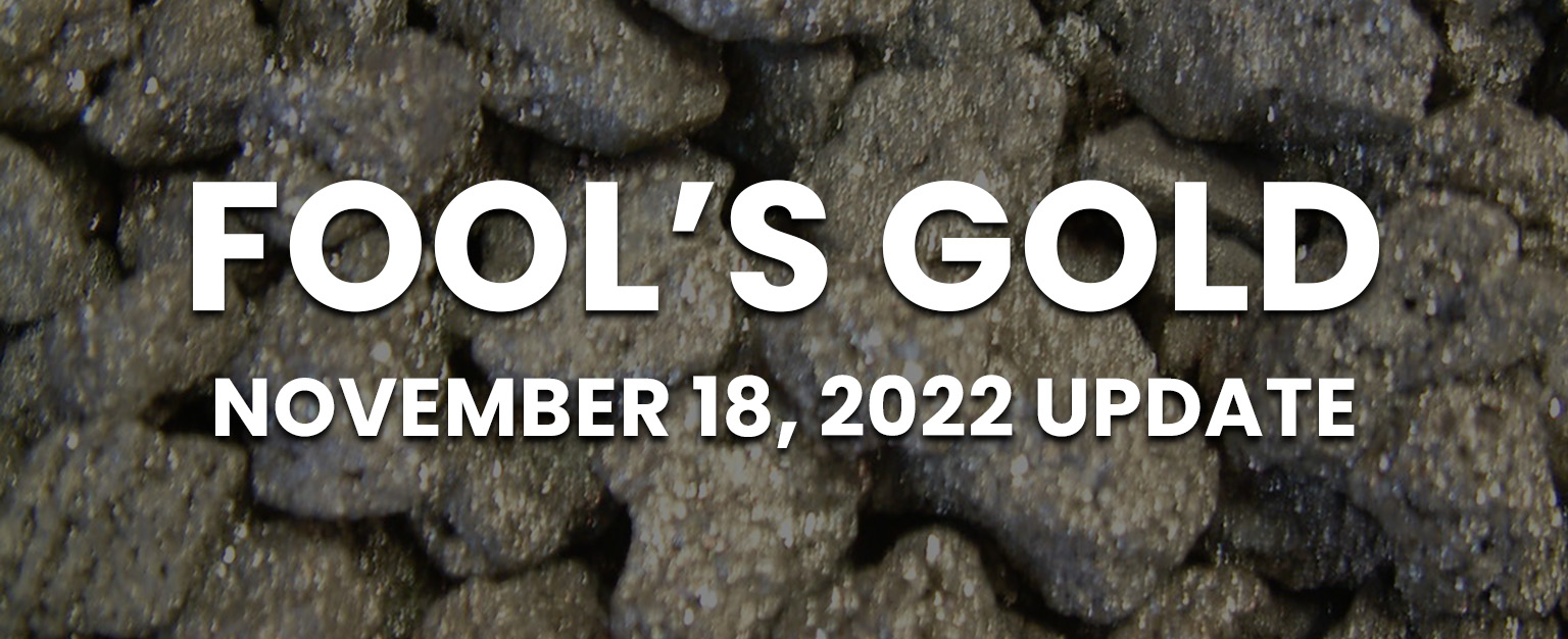 MyPatriotsNetwork-Fool’s Gold? – November 18, 2022
