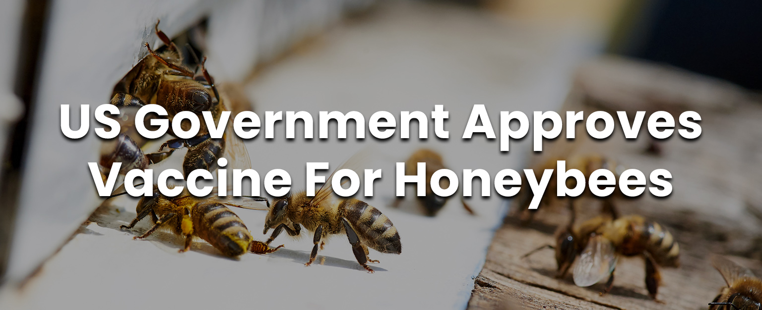 MyPatriotsNetwork-Attack on Food Supply Continues As US Government Approves Vaccine For Honeybees