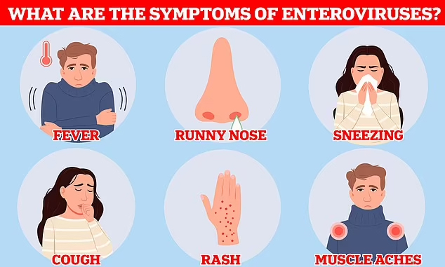 Enteroviruses Symptoms
