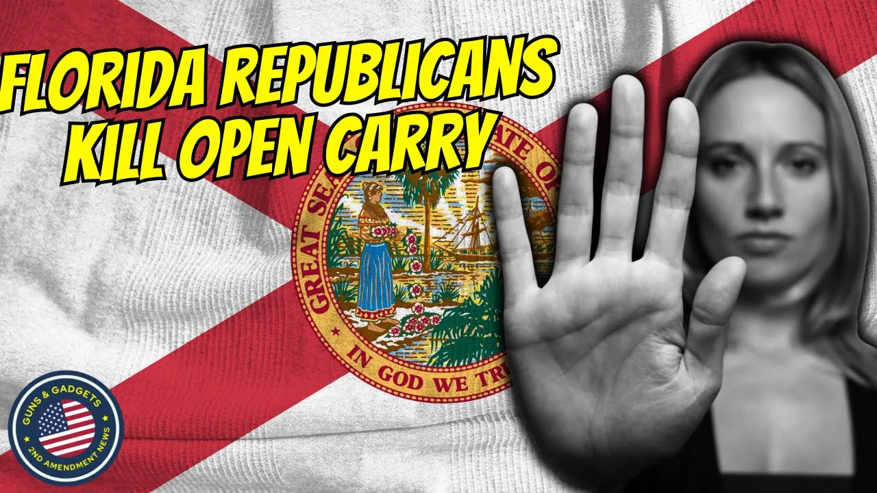 Guns & Gadgets 2nd Amendment News discusses republicans open carry laws