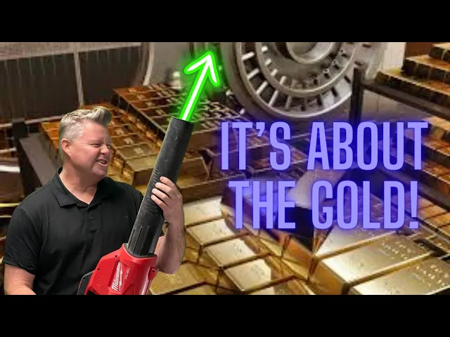 The Economic Ninja talks about how central banks are buying gold