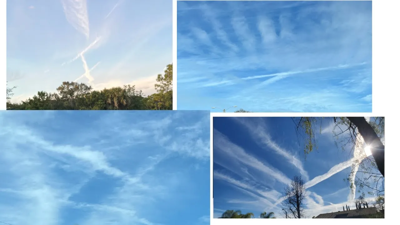 The Healthy American Peggy Hall talks about how chem trails are not normal