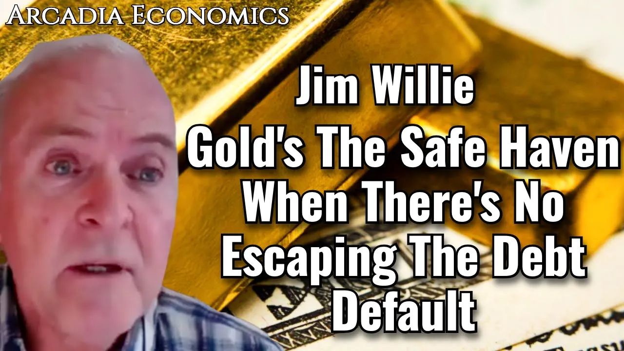 Arcadia Economics talks with jim willie about golds safe haven