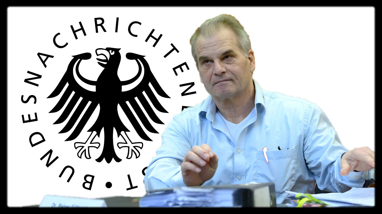 Greg Reese talks about a leaked dossier that ohws a german government conspired to silence reiner fullmich