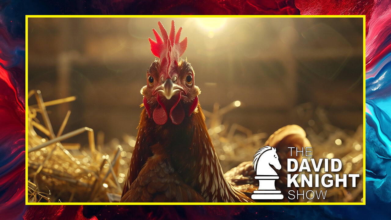 The David Knight Show talks about why we are receiving bird flu hype
