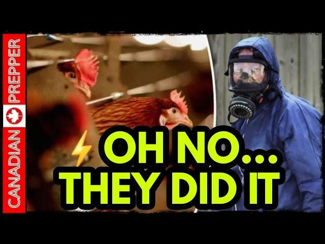 Canadian Prepper talks about the bird flu having a 100% kill rate