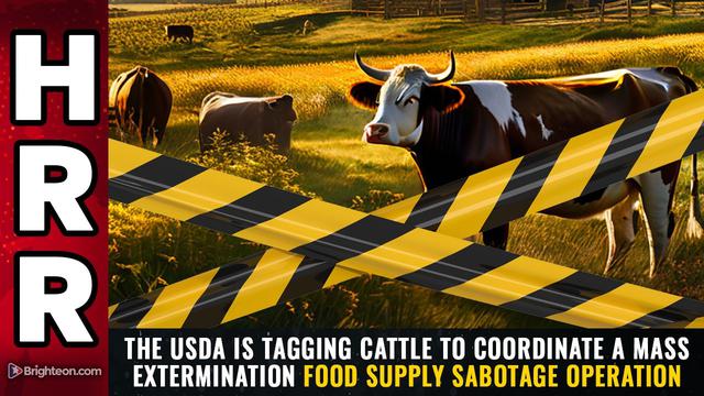 Jim Fetzer talks about how the USDA is tagging cattle to coordinate a mass food supply sabotage