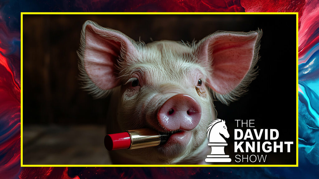 The David Knight Show talks about the same pig with a different lip schtick