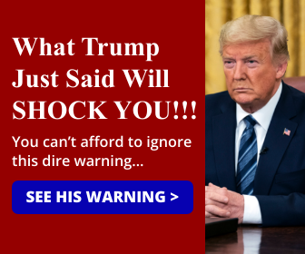 Trump-Warning-Banner-Ad-3-336x280-px