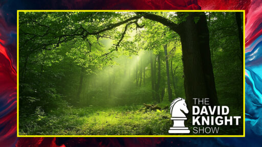 The David Knight Show talks about how plants and tree's did not absorb any Co2 last year