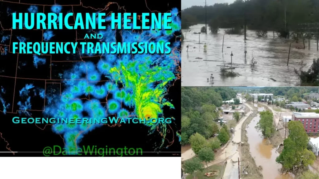 The Healthy American Peggy Hall talks about how hurricane helene frequency transmission with dane wigington