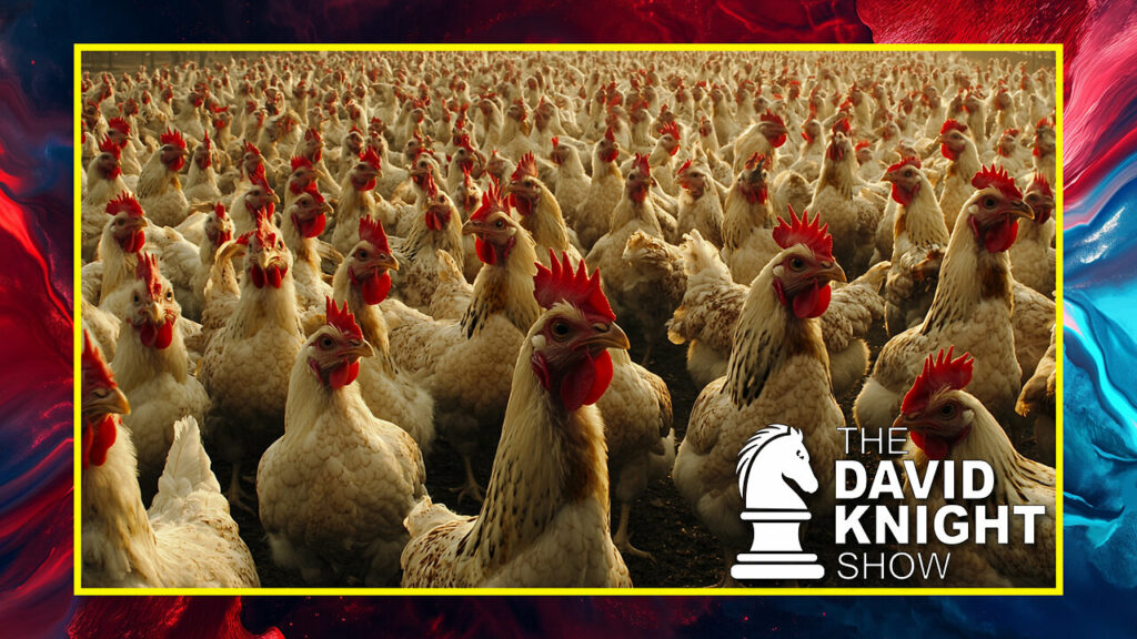 The David Knight Show talks about the dangerous bird flu vax