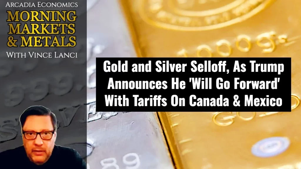 Arcadia Economics with vince lanci